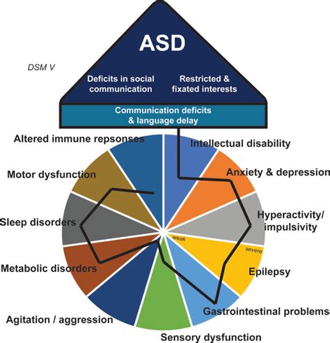 phat asd|Autism spectrum disorder: definition, epidemiology, causes, and .